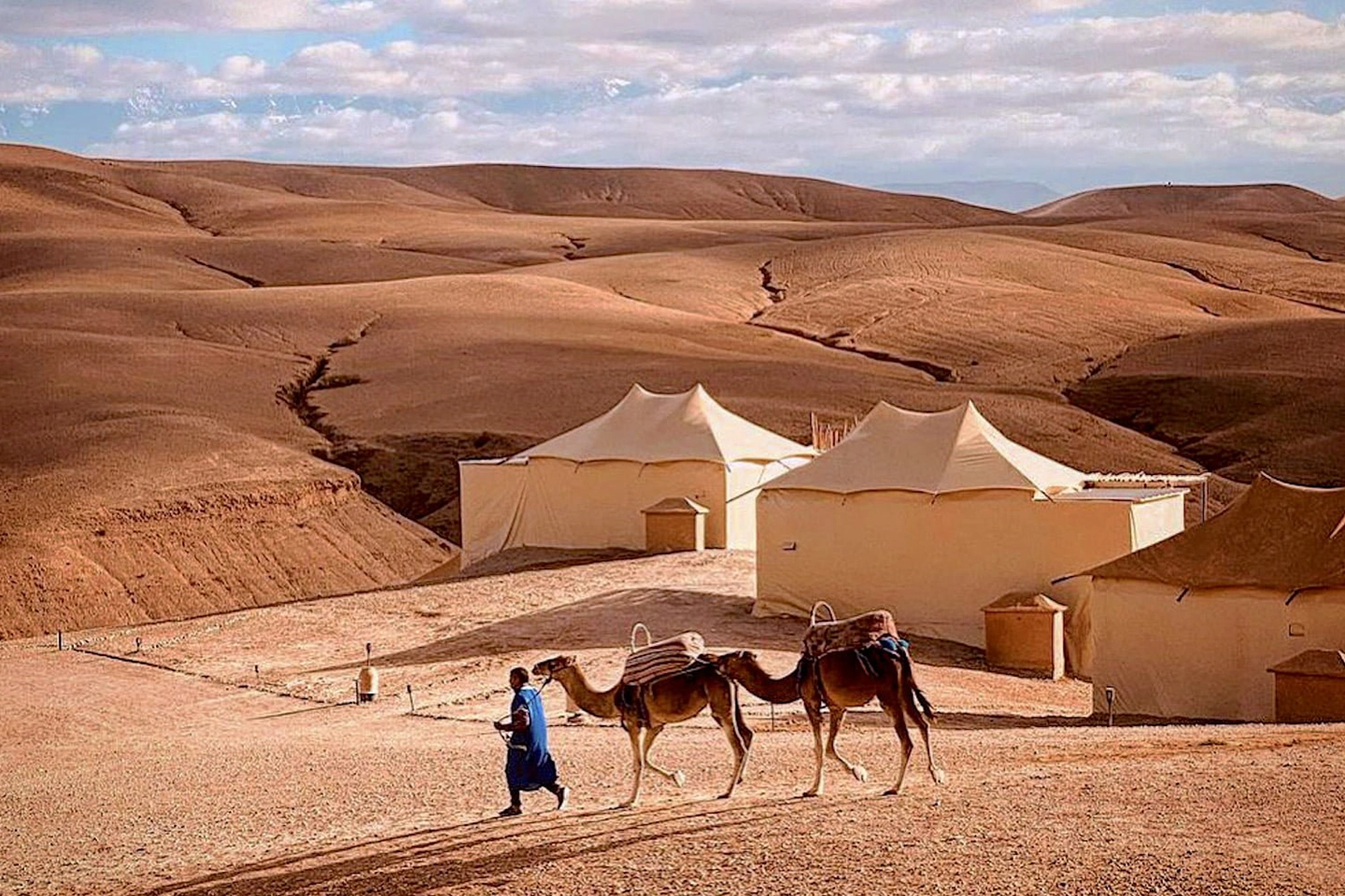 Morocco Sight - Camel Riding Adventure in Marrakech - 01