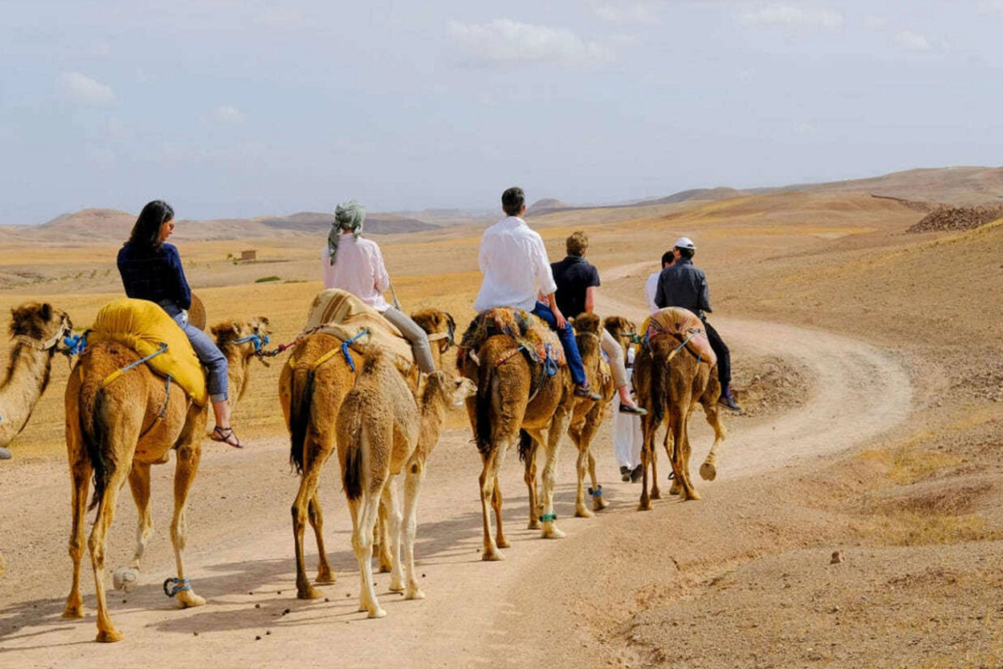 Morocco Sight - Camel Riding Adventure in Marrakech - 05